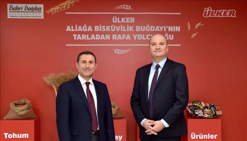 Aliağa bisküvilik buğdayı Ülker ürünleriyle buluştu
