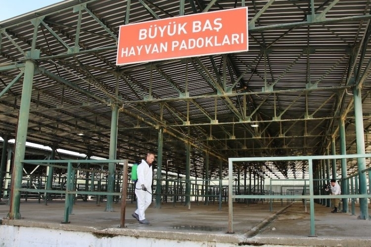 Eskişehir'de Hayvan pazarları açılıyor