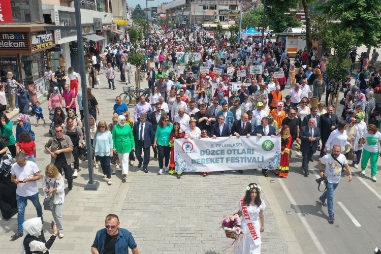 Düzce'nin Zengin Ot Kültürü, Dünya Çapında Keşfedilecek