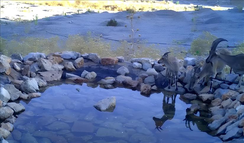 OYAK Çimento, Antalya'daki üretim sahasını yeniden doğaya kazandırıyor