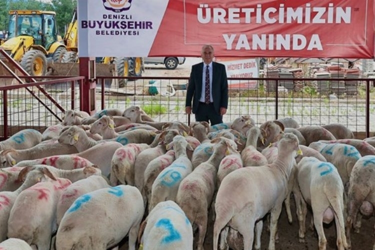 Tarım Sektörüne Güçlü Bir Destek: Hayvan Üreticilerine Yönelik Büyük Katkı