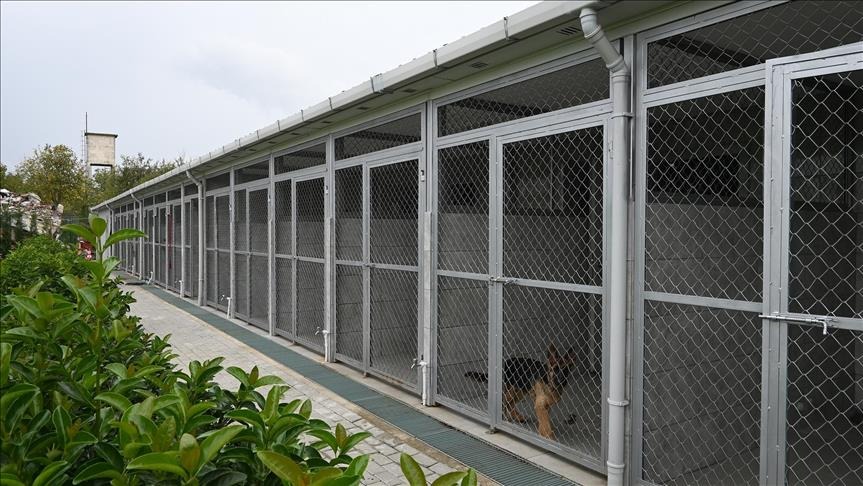 Karmod'dan sokak köpekleri için prefabrik hayvan barınağı projesi