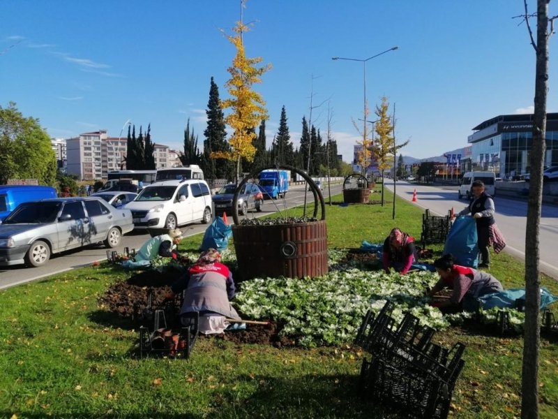 Ordu, 7 Milyon Ağaç ve Fidanla Yeşillendi
